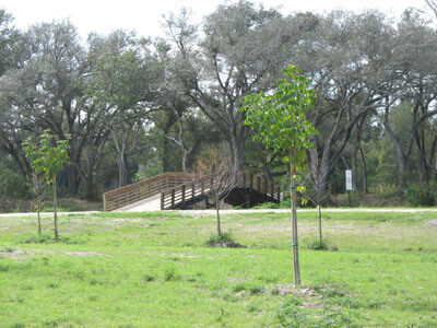 Wooden bridge in public park